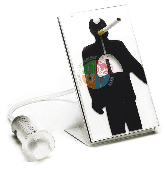 Effects of Smoking Model