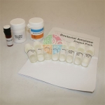 Bacterial Amylase Project Pack